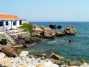 Filename=antissa4_1.jpg
Filesize=132KiB
Dimensions=800x600
Date added=Nov 10, 2024 antissa4_1.jpg