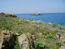 Filename=gavathas1_61.jpg
Filesize=154KiB
Dimensions=960x720
Date added=Nov 17, 2024 gavathas1_61.jpg