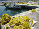 Filename=gavathas1_8.jpg
Filesize=141KiB
Dimensions=960x720
Date added=Nov 17, 2024 gavathas1_8.jpg