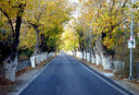 Filename=normal_eresos9~0.jpg
Filesize=33KiB
Dimensions=400x273
Date added=Nov 17, 2024 normal_eresos9~0.jpg