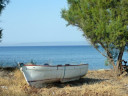 Filename=lapsarna3.jpg
Filesize=65KiB
Dimensions=604x453
Date added=Nov 10, 2024 lapsarna3.jpg