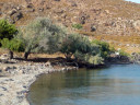 Filename=lapsarna6.jpg
Filesize=85KiB
Dimensions=604x453
Date added=Nov 10, 2024 lapsarna6.jpg