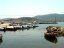 Filename=antissa9_2.jpg
Filesize=87KiB
Dimensions=800x600
Date added=Nov 10, 2024 antissa9_2.jpg