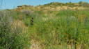 Filename=archaia_antissa06_2010_33.jpg
Filesize=199KiB
Dimensions=900x500
Date added=Nov 17, 2024 archaia_antissa06_2010_33.jpg