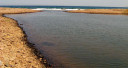 Filename=archaia_antissa13.jpg
Filesize=59KiB
Dimensions=900x480
Date added=Nov 17, 2024 archaia_antissa13.jpg