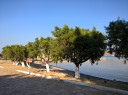 Filename=lesvos_view1_282529.jpg
Filesize=829KiB
Dimensions=2048x1530
Date added=Nov 17, 2024 lesvos_view1_282529.jpg