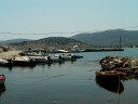 Filename=45.jpg
Filesize=593KiB
Dimensions=2048x1536
Date added=Nov 17, 2024 45.jpg