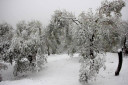 Filename=47.jpg
Filesize=127KiB
Dimensions=1024x683
Date added=Nov 17, 2024 47.jpg